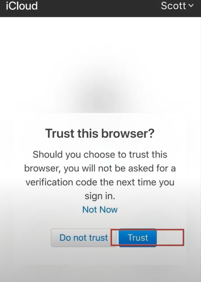 Tap on trust button