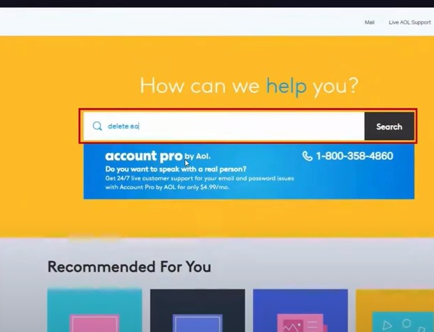 type in Delete AOL Account