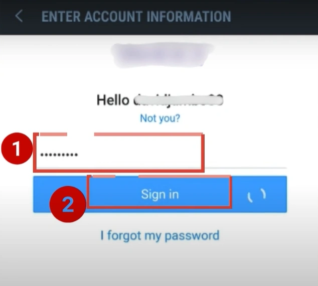  Enter the password and tap Sign In