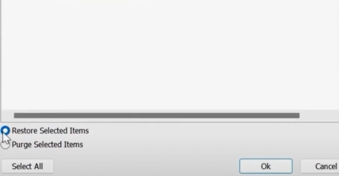 Select Restore Selected Items and Click OK