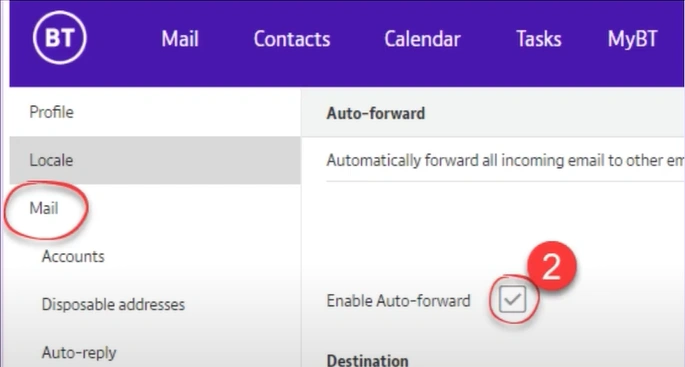 box next to Enable Auto-Forward