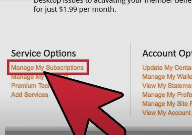 Scroll down to the Service Options section