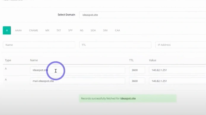 Add your A, CNAME, MX, and TXT records