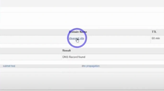 Copy your new domain to access