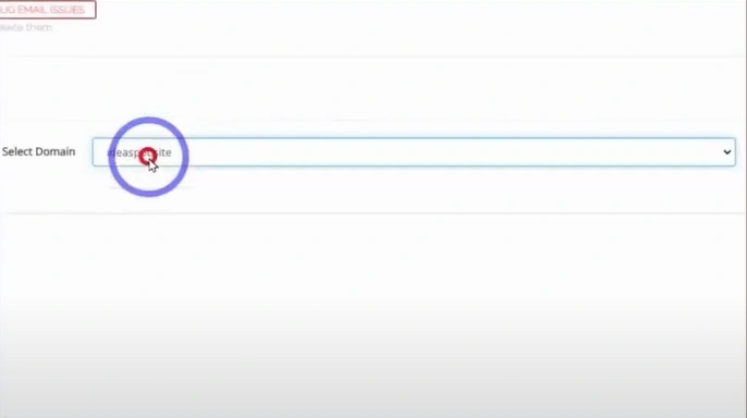 Select the domain from the drop-down