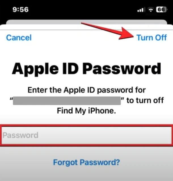 Enter your Apple ID password