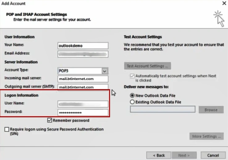 In the Logon information, enter your email address
