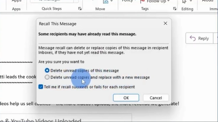 On the Recall This Message window