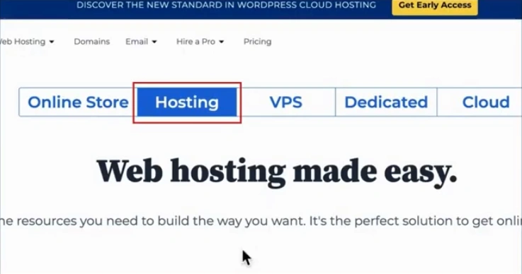 After that, click on the “Hosting” tab