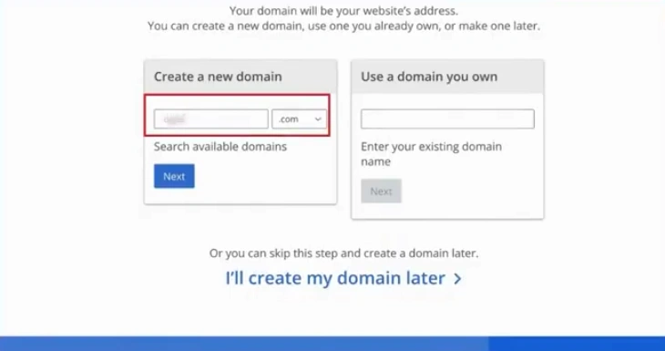 Provide a domain name in the next step